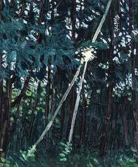 Claudia Keep, Late Afternoon Light Through The Trees, 2022
