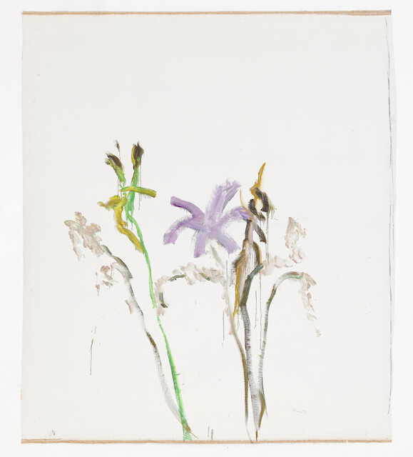 Damien Cabanes, Lys violet et tiges dépouillé fond blanc , 2021