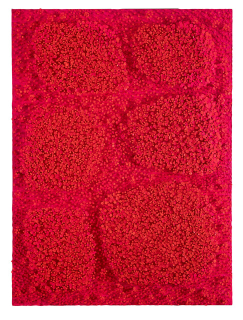 Cho Sung Hee, Red Garden with Pink, 2022